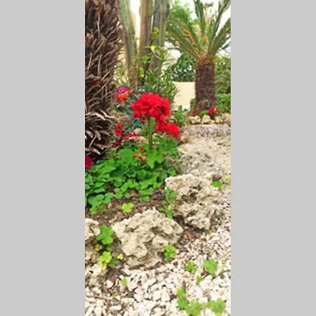 Apartament Petunia Garden View Rhodes City