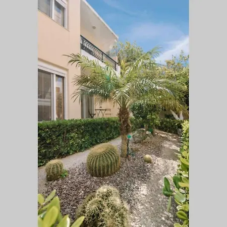 Petunia Garden View *