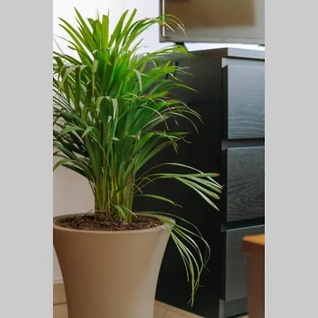 Petunia Garden View Apartment *